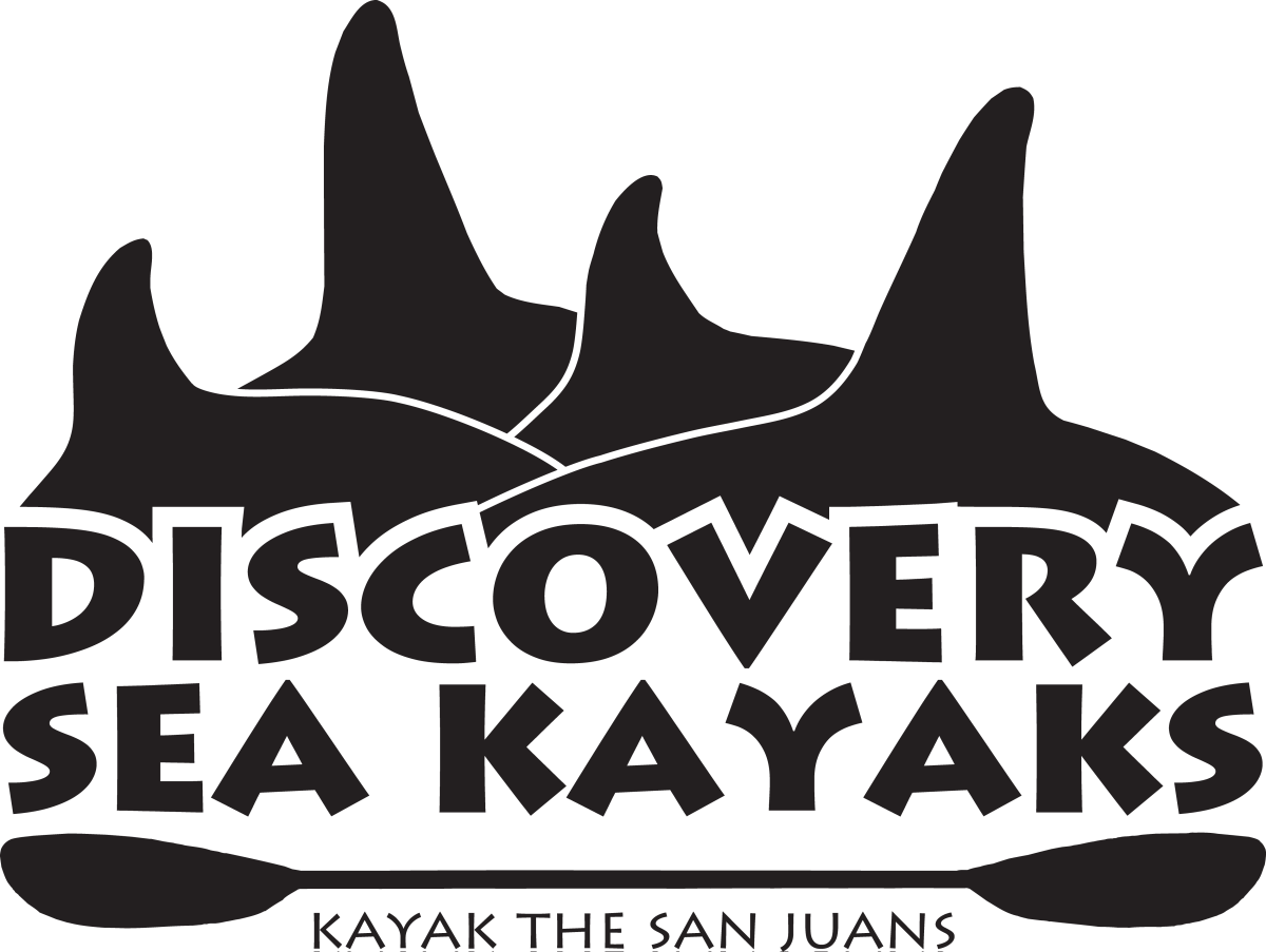 Discovery Sea Kayaks 