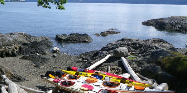 Kayaks on driftwood on Jones Island