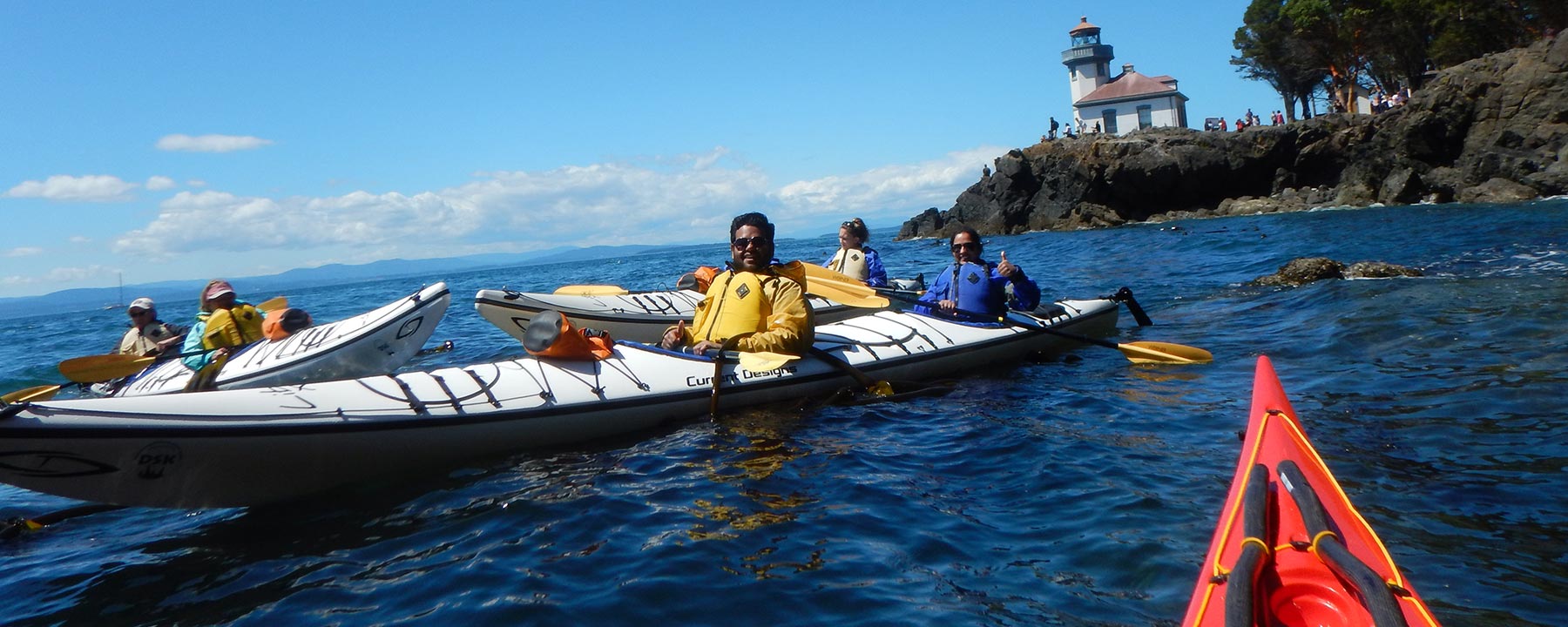 Half Day San Juan Islands Kayak Tours Discovery Sea Kayaks
