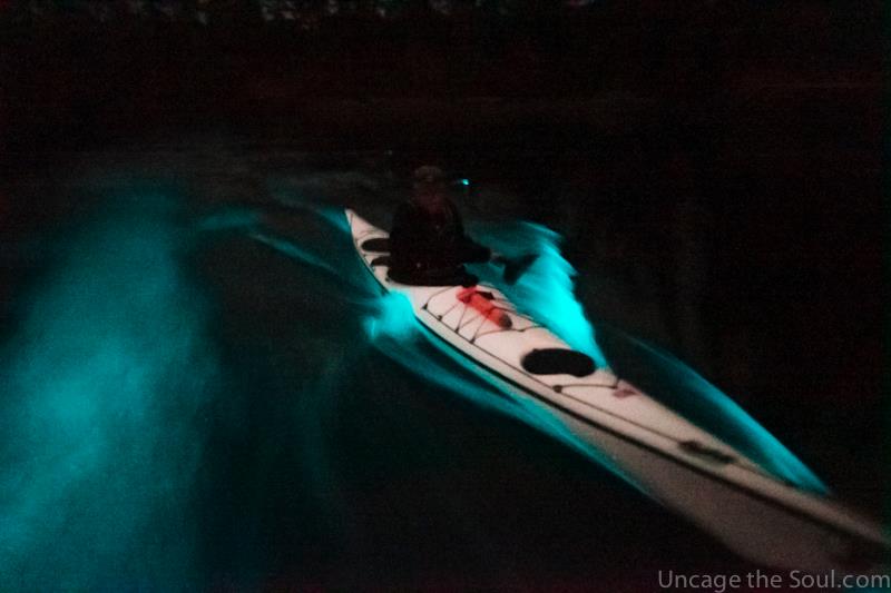 kayaker paddlers through glowing Bioluminescent waters on San Juan Island