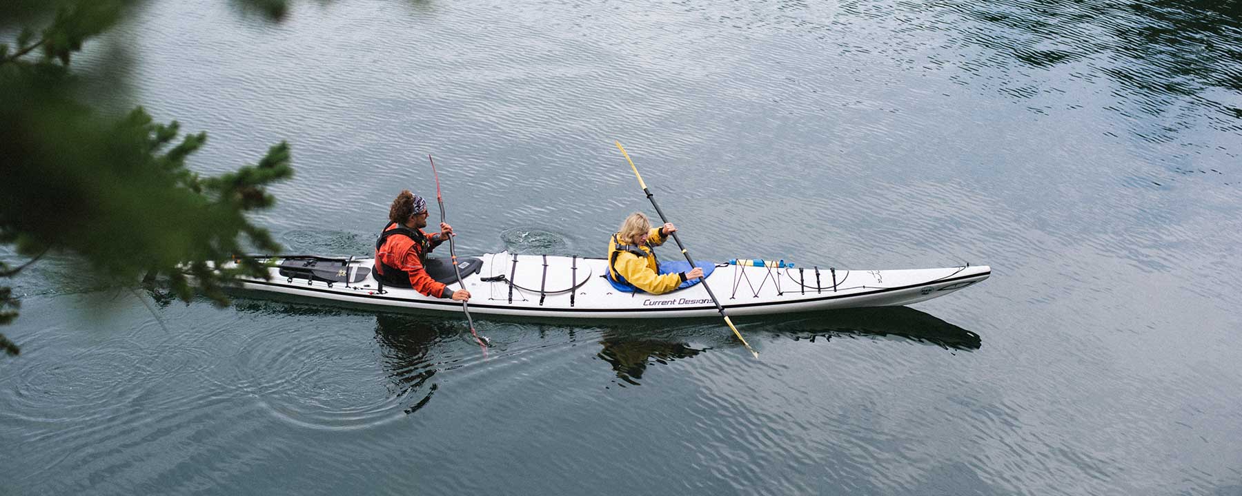 San Juan Island Kayak Tour Half Day Discovery Sea Kayaks