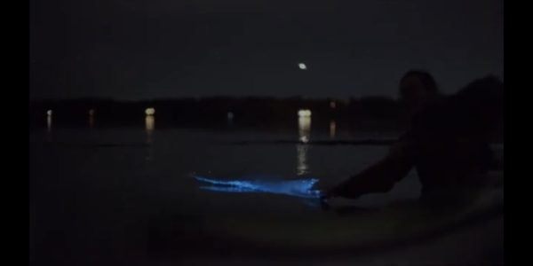 Bioluminescence with paddler San Juan.