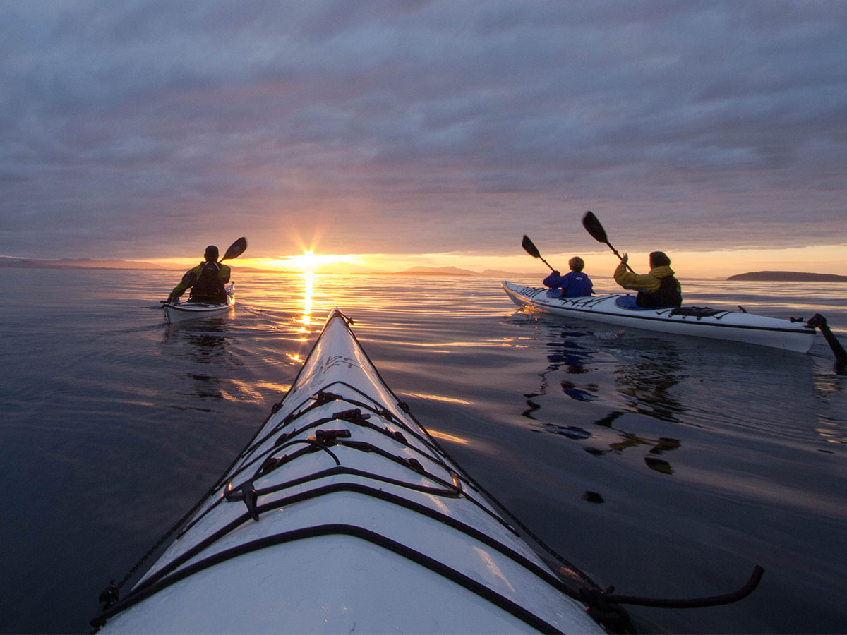 Group kayaking near San Juan Island