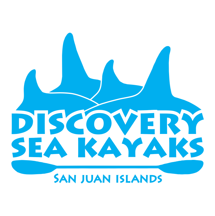 Discovery Sea Kayaks logo
